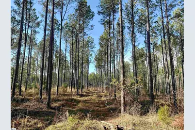 00 Highway 28, Abbeville, SC 29620 - Photo 36