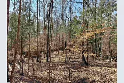 00 Highway 28, Abbeville, SC 29620 - Photo 38