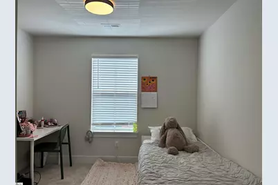 229 Marshland Lane, Greer, SC 29650 - Photo 12