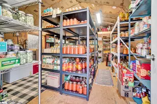 146 Bert Mae Ln, Pickens, SC 29671 - Photo 28