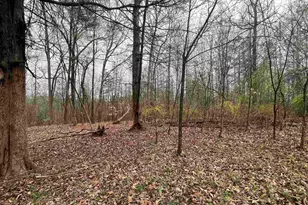 145 Fern Dr, Westminster, SC 29693 - Photo 16