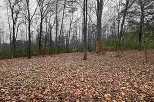 145 Fern Dr, Westminster, SC 29693 - Photo 20