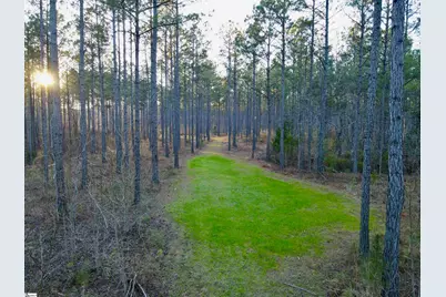 00 Long Cane Road, McCormick, SC 29620 - Photo 8