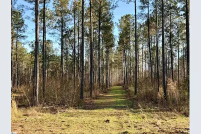 00 Long Cane Road, McCormick, SC 29620 - Photo 14