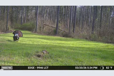 00 Long Cane Road, McCormick, SC 29620 - Photo 4