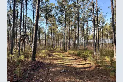 00 Long Cane Road, McCormick, SC 29620 - Photo 22