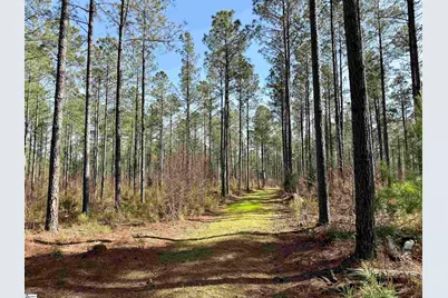 00 Long Cane Road, McCormick, SC 29620 - Photo 20