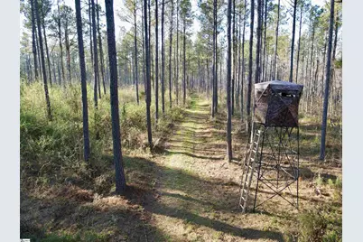 00 Long Cane Road, McCormick, SC 29620 - Photo 18