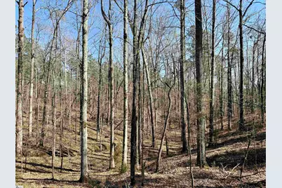00 Long Cane Road, McCormick, SC 29620 - Photo 12