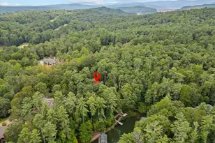 205 Pitcher Plant Ln, Sunset, SC 29685 - Photo 42