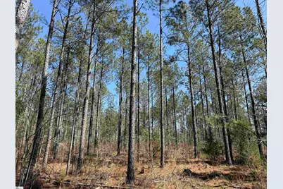 0 Highway 28 Highway, McCormick, SC 29620 - Photo 30