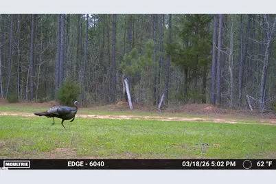 0 Highway 28 Highway, McCormick, SC 29620 - Photo 16