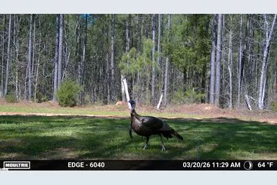 0 Highway 28 Highway, McCormick, SC 29620 - Photo 8