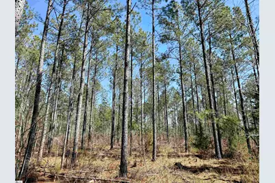 0 Highway 28 Highway, McCormick, SC 29620 - Photo 12