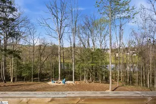 40 Silesian Ct, Pelzer, SC 29669 - Photo 34