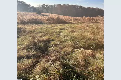 00 Rocky River Ame Church Road, Abbeville, SC 29622 - Photo 12