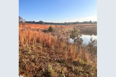 00 Rocky River Ame Church Road, Abbeville, SC 29622 - Photo 10