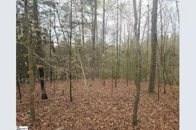 Boyds Mill Pond Road, Laurens, SC 29360 - Photo 10
