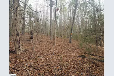 Boyds Mill Pond Road, Laurens, SC 29360 - Photo 6