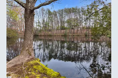 28 Farringdon Drive, Greenville, SC 29615 - Photo 48