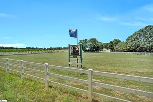 313 Henderson Rd, Gray Court, SC 29645 - Photo 44