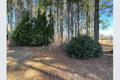 10 Hanging Moss Lane, Greenville, SC 29615 - Photo 6