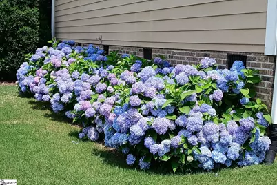 123 Elevation Court, Greer, SC 29651 - Photo 34