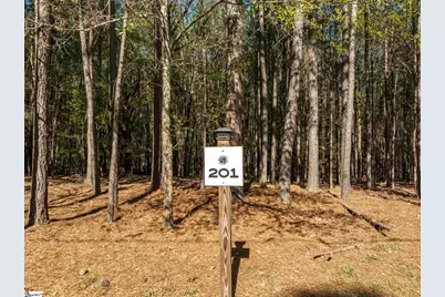 201 Peninsula Drive, Prosperity, SC 29070 - Photo 4