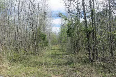 1007 Oneal Street, Belton, SC 29627 - Photo 22