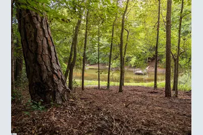 00 Pinetree Road, Townville, SC 29689 - Photo 4