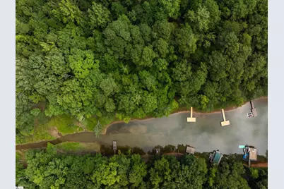 00 Pinetree Road, Townville, SC 29689 - Photo 6