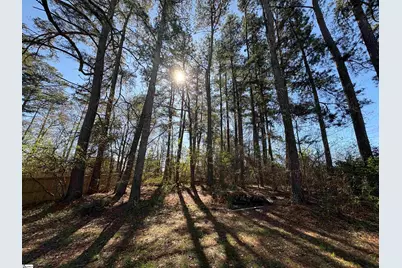 1505 Fork Shoals Road, Greenville, SC 29605 - Photo 8