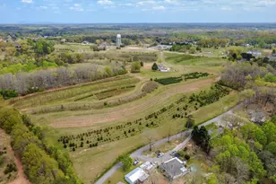 201 Sanders Dr, Liberty, SC 29657 - Photo 48