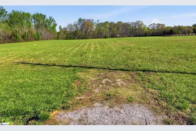 00 Andrews Road, Fountain Inn, SC 29644 - Photo 2