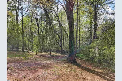 313 Tubbs Mountain Road, Travelers Rest, SC 29690 - Photo 36