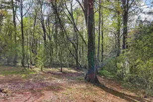 313 Tubbs Mountain Rd, Travelers Rest, SC 29690 - Photo 36