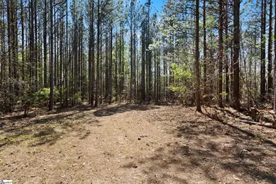 00 Todd Road, Gray Court, SC 29645 - Photo 10