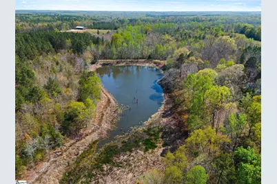 00 Todd Road, Gray Court, SC 29645 - Photo 2