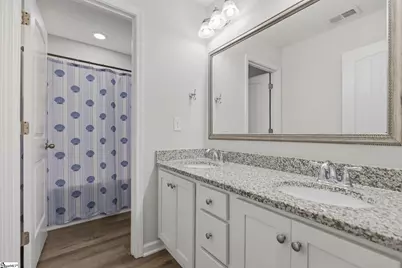 133 Frost Flower Way, Fountain Inn, SC 29644 - Photo 20