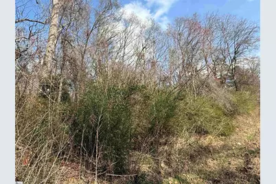 0 McCall Road, Greenville, SC 29607 - Photo 2