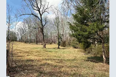 00 McCall Road, Greenville, SC 29607 - Photo 4