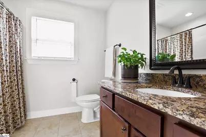 120 Royal Troon, Campobello, SC 29322 - Photo 14