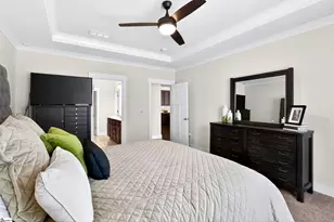 209 Bank Swallow Wy, Simpsonville, SC 29680 - Photo 20