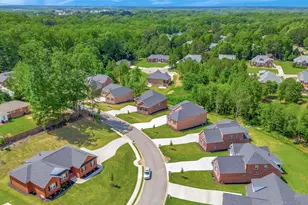 118 Bonaire Point, Anderson, SC 29621 - Photo 40