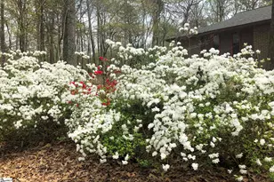 132 Rosecrest Rd, Spartanburg, SC 29303 - Photo 44