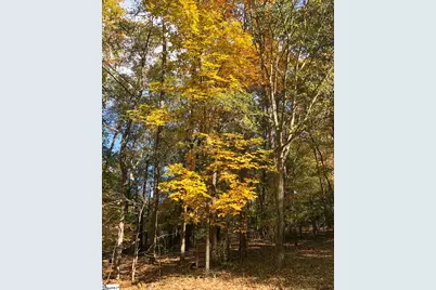 132 Rosecrest Road, Spartanburg, SC 29303 - Photo 46