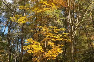 132 Rosecrest Rd, Spartanburg, SC 29303 - Photo 46