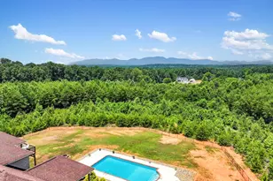 6735 Hwy 357, Campobello, SC 29322 - Photo 44