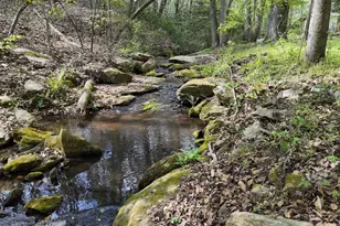 303 Garren Rd, Belton, SC 29627 - Photo 32