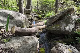 303 Garren Rd, Belton, SC 29627 - Photo 30